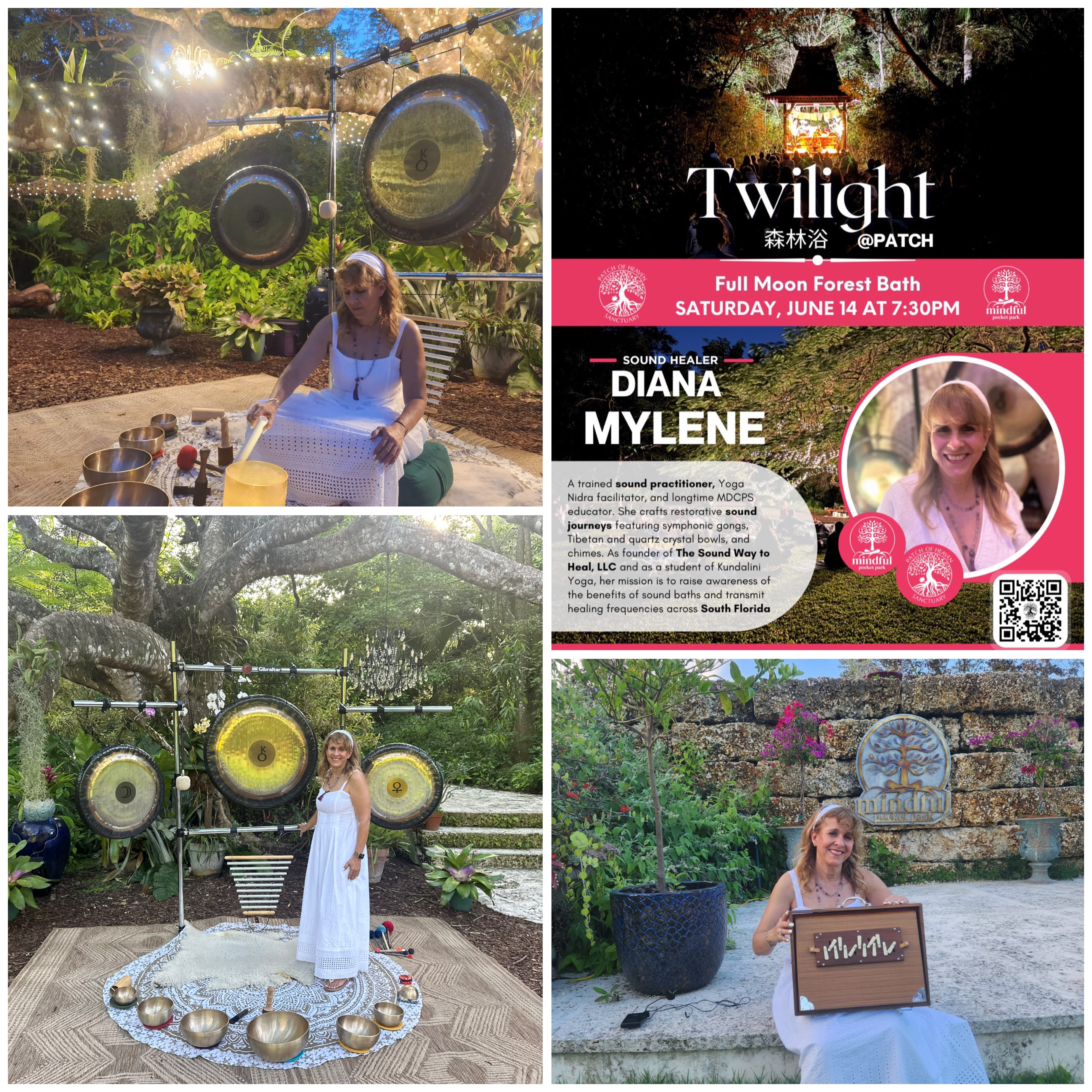Diana bringing gongs and singing bowls into the gardens for the Twilight Full Moon Forest Bath